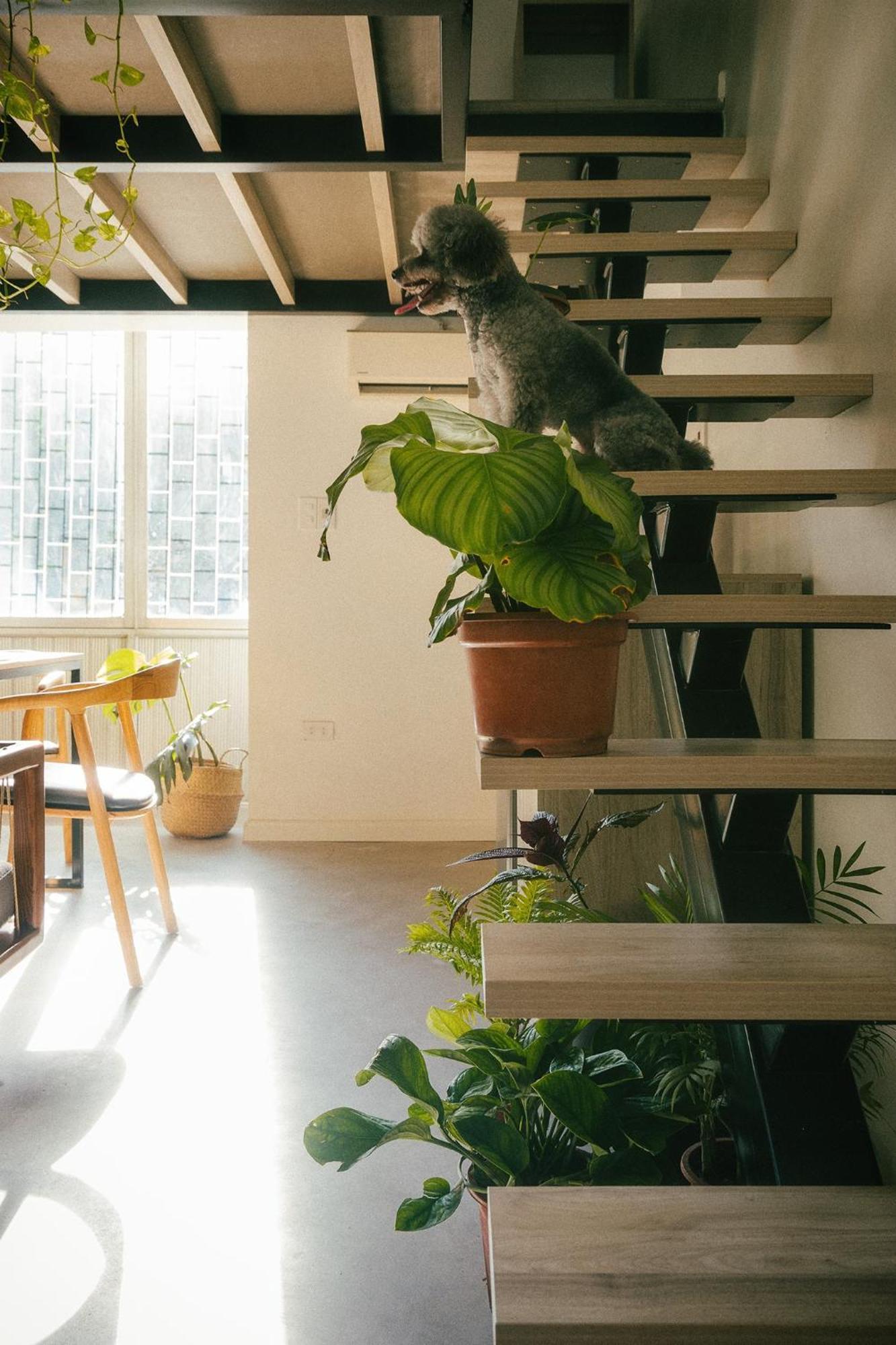 Anya Premier Apartments-City View With Big Balcony-Free Laundry ハノイ市 エクステリア 写真